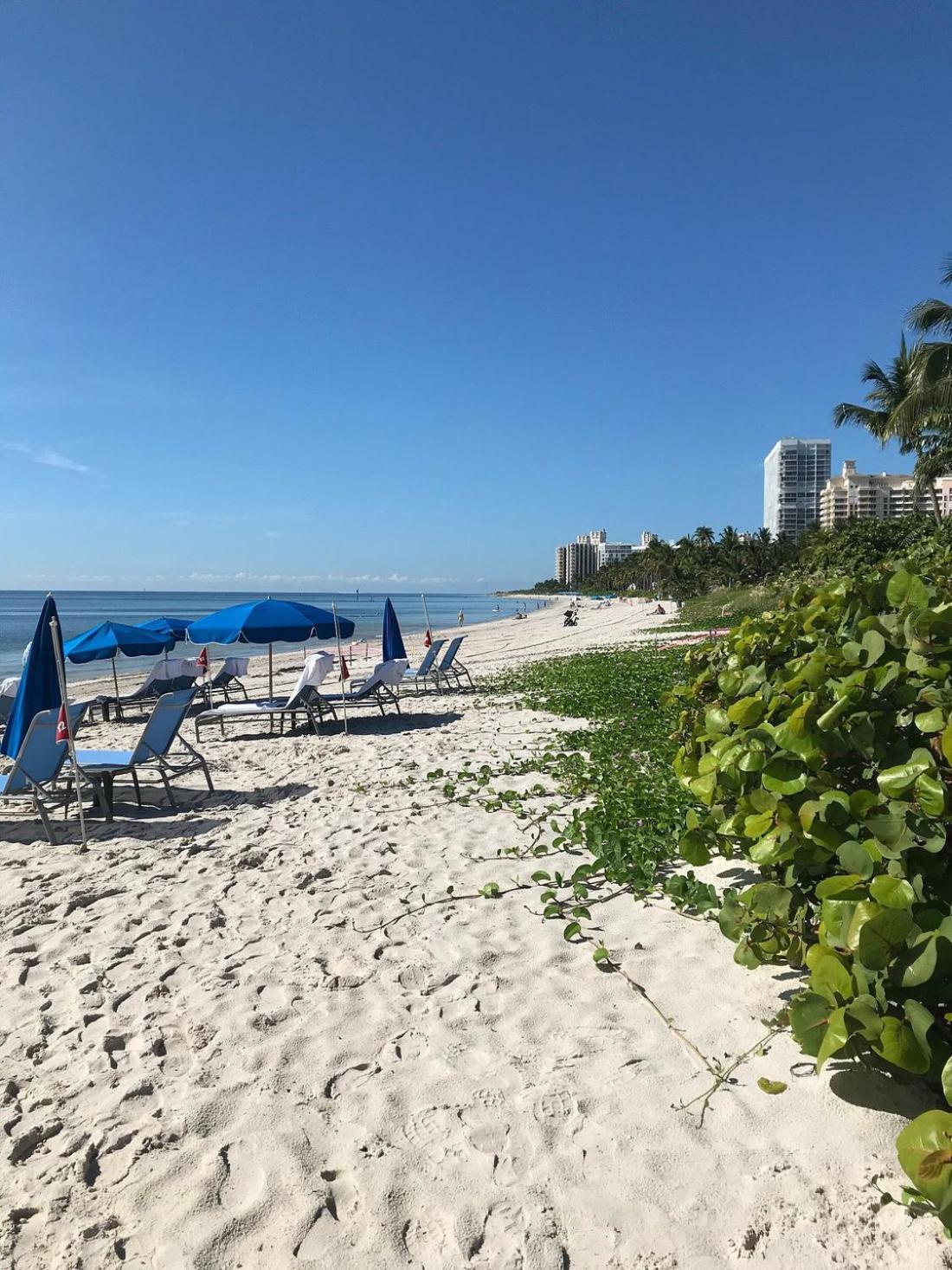 Appartement Studio Located At The Ritz Carlton Key Biscayne, Miami